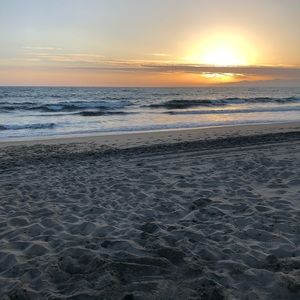 Meet your Posher, Betty